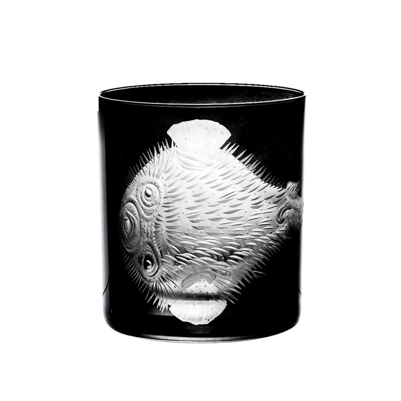 Cabinet of Curiosities Blowfish