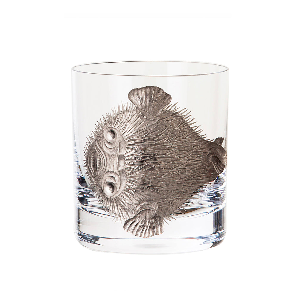 Cabinet of Curiosities Blowfish
