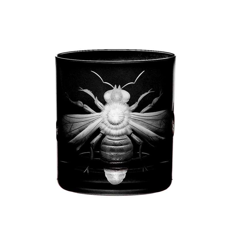 Cabinet of Curiosities Imperial Bee