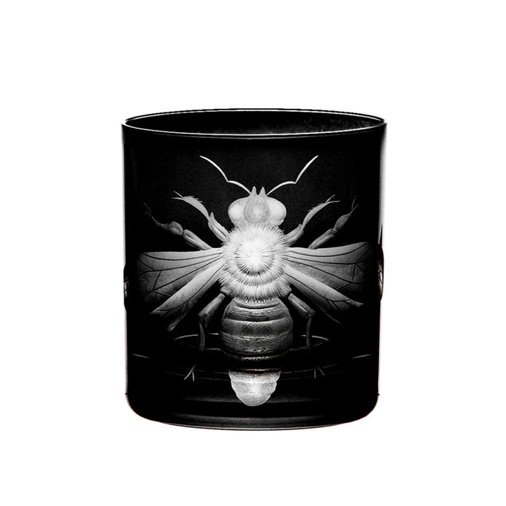 Cabinet of Curiosities Imperial Bee