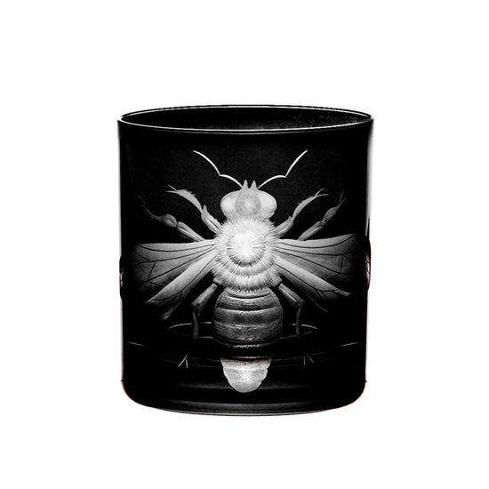 Cabinet of Curiosities Imperial Bee