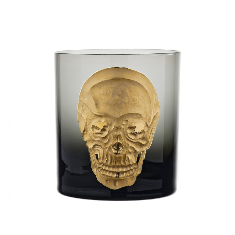 Cabinet of Curiosities Skull