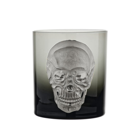 Cabinet of Curiosities Skull