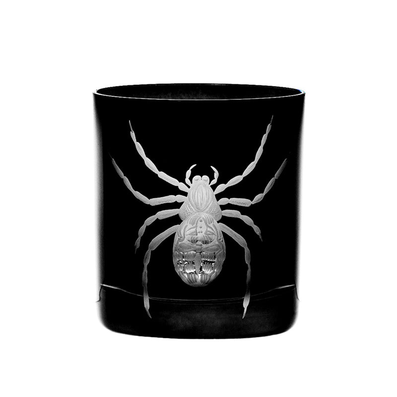Cabinet of Curiosities Spider