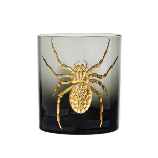 Cabinet of Curiosities Spider