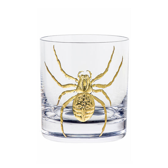 Cabinet of Curiosities Spider