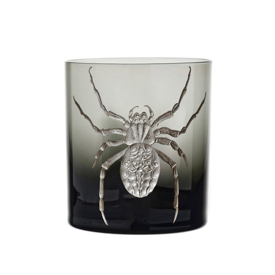 Cabinet of Curiosities Spider