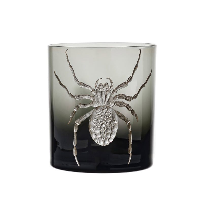 Cabinet of Curiosities Spider