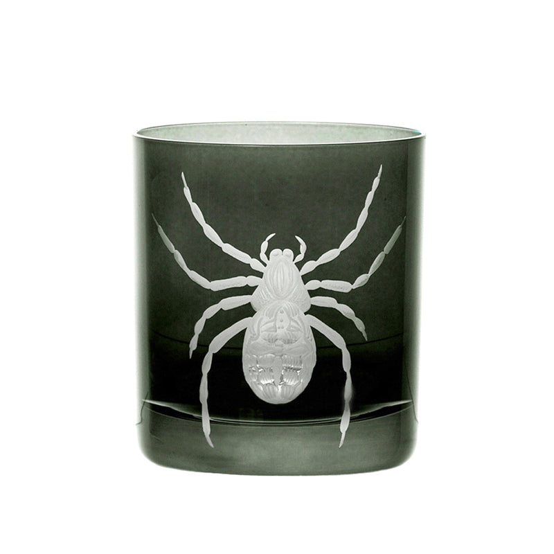 Cabinet of Curiosities Spider