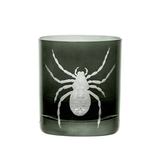 Cabinet of Curiosities Spider