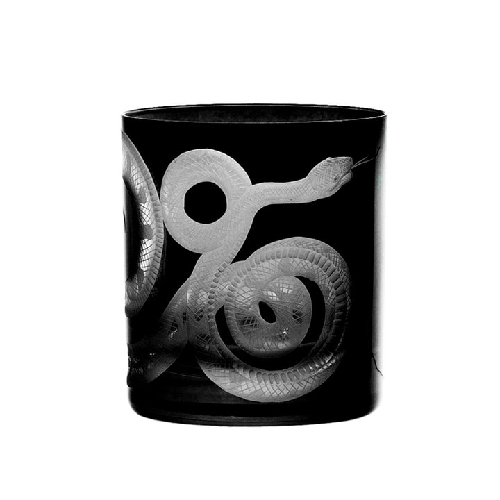 Cabinet of Curiosities Snake