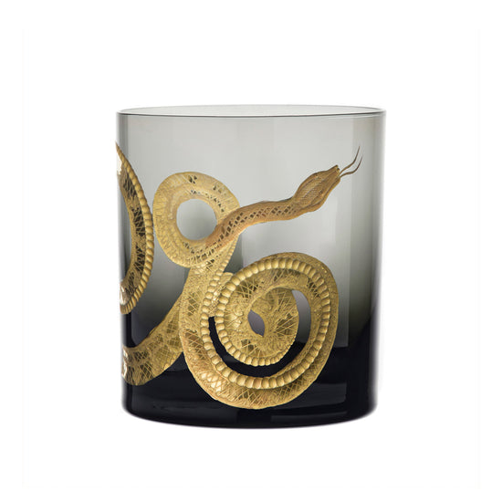 Cabinet of Curiosities Snake