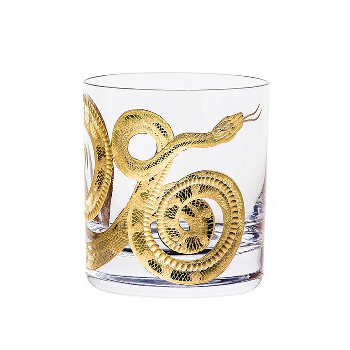 Cabinet of Curiosities Snake