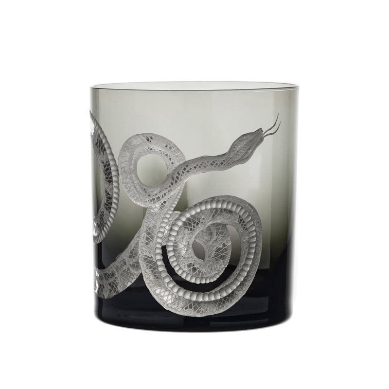 Cabinet of Curiosities Snake