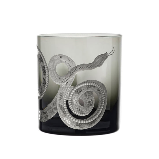 Cabinet of Curiosities Snake