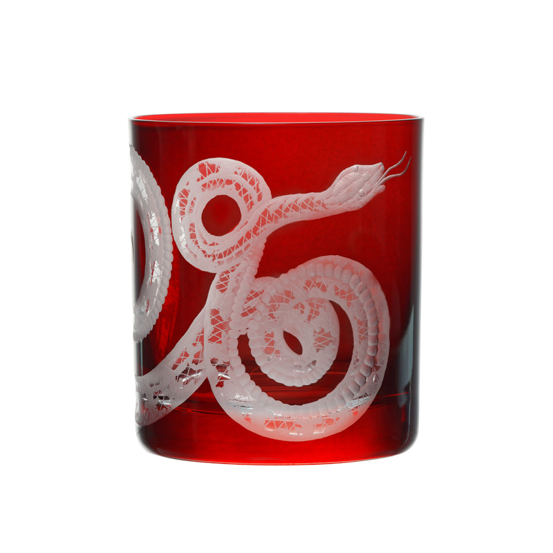 Cabinet of Curiosities Snake