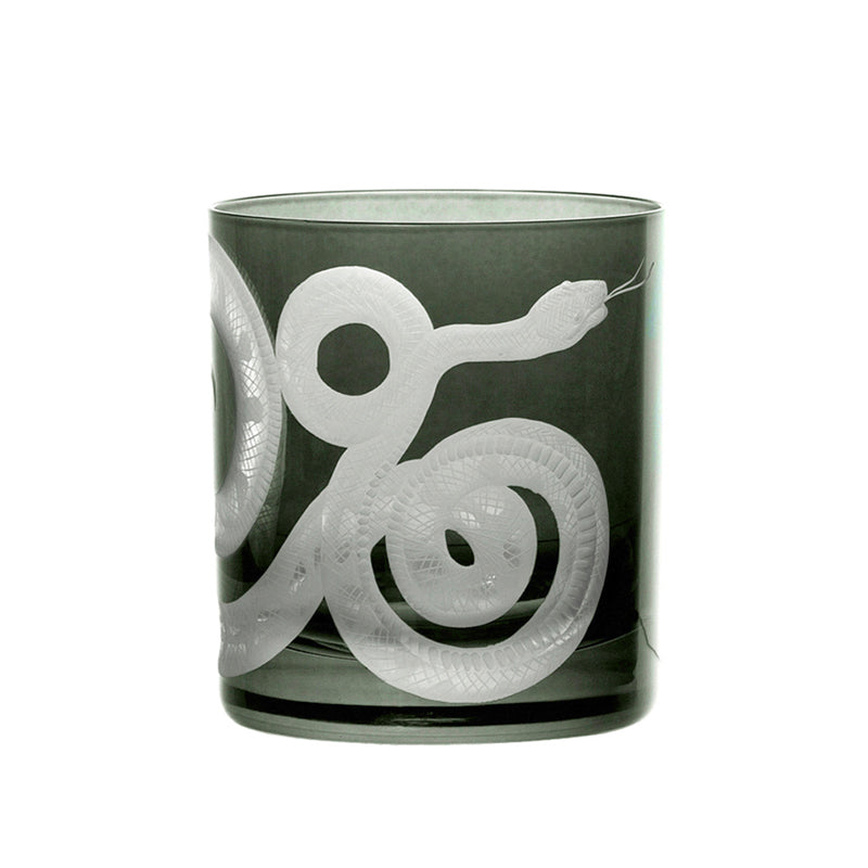 Cabinet of Curiosities Snake