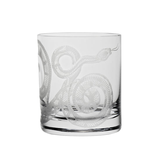 Cabinet of Curiosities Snake