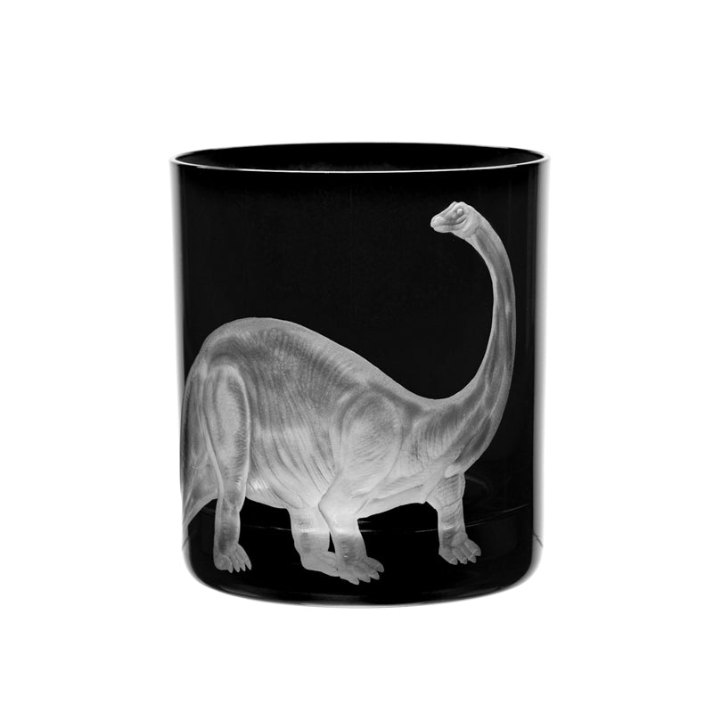 Dinosaur Collection 1 Brontosaurus