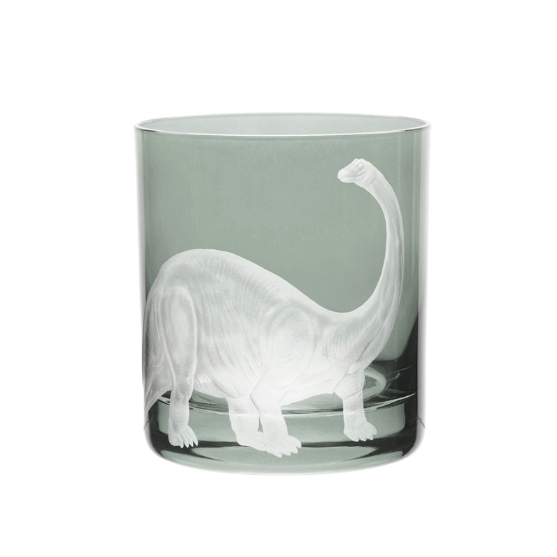 Dinosaur Collection 1 Brontosaurus