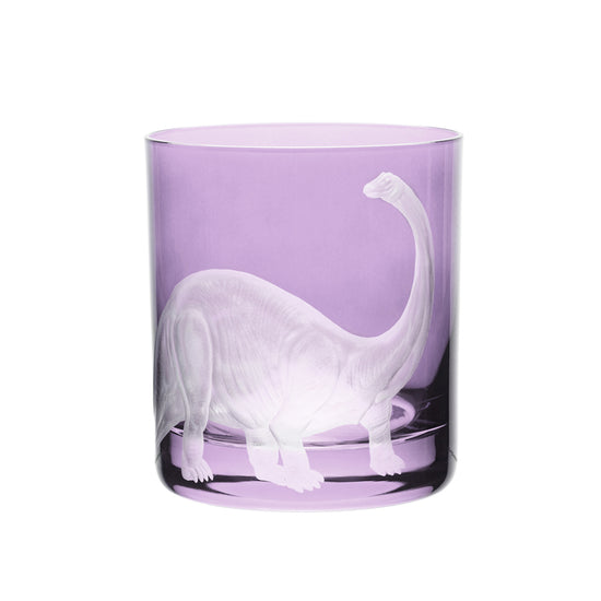 Dinosaur Collection 1 Brontosaurus