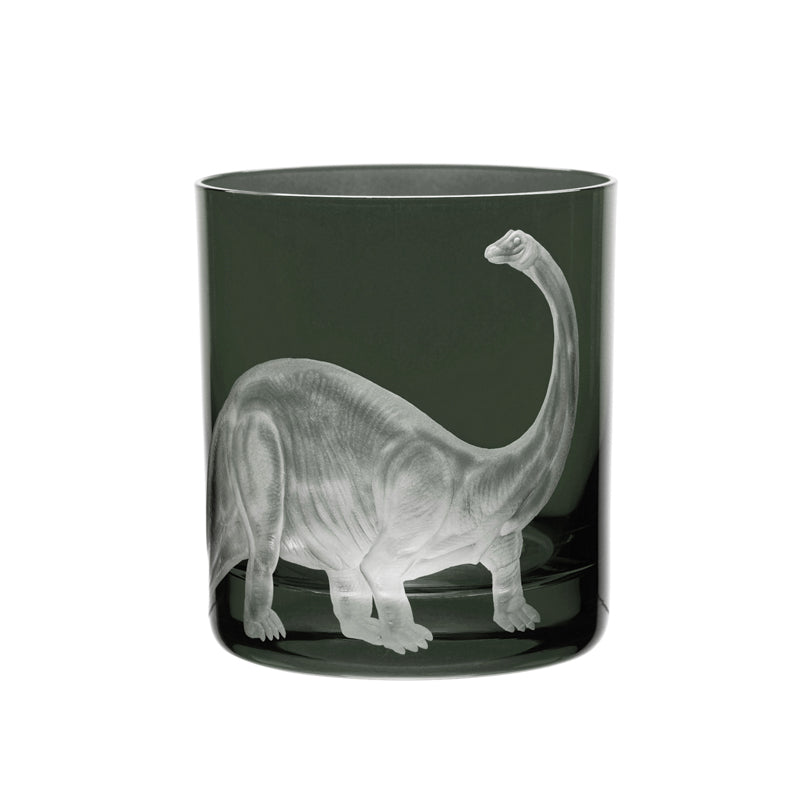 Dinosaur Collection 1 Brontosaurus
