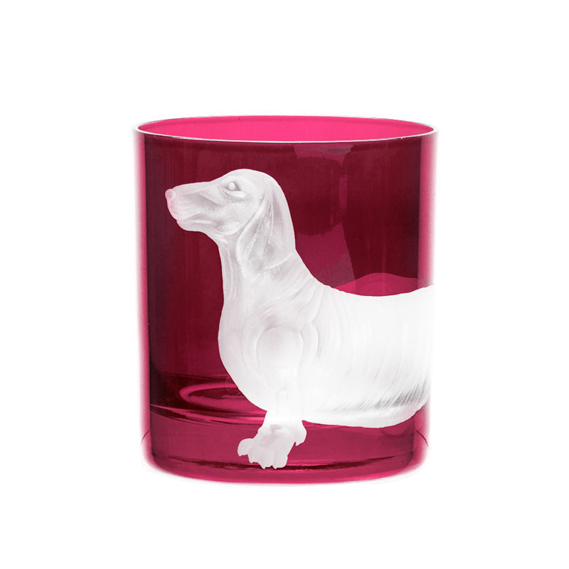 Dog Dachshund