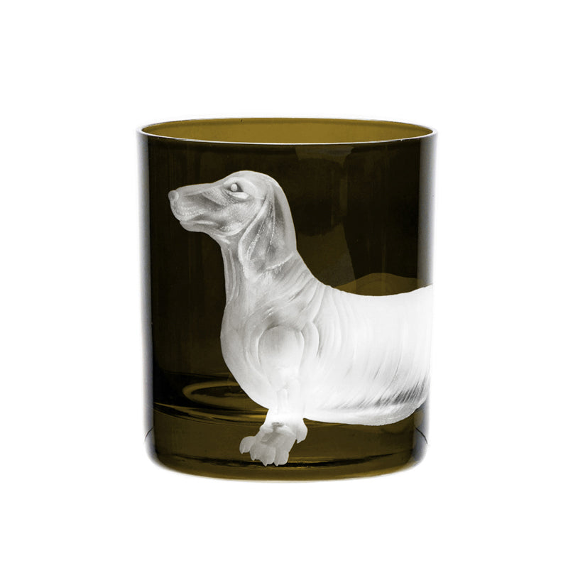 Dog Dachshund