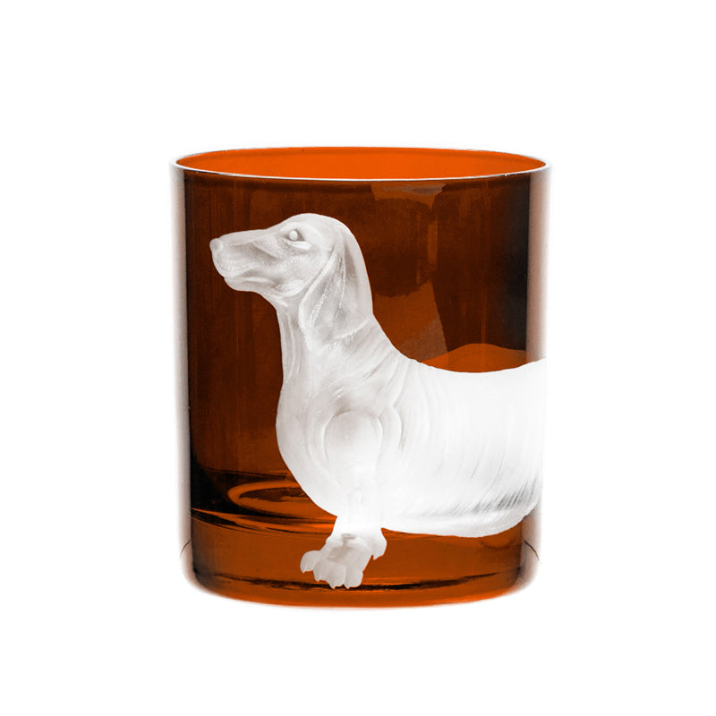 Dog Dachshund