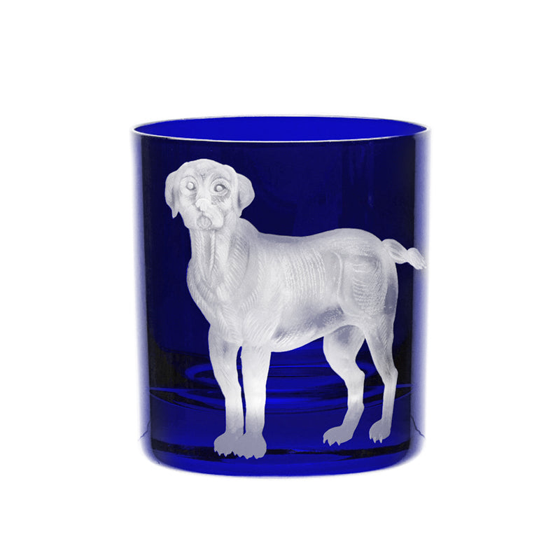 Dog Labrador