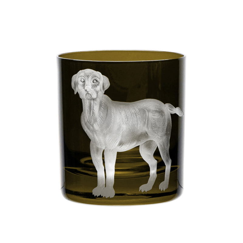 Dog Labrador