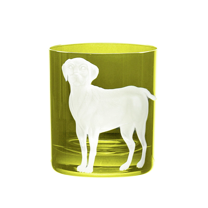 Dog Labrador