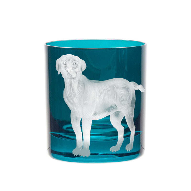 Dog Labrador