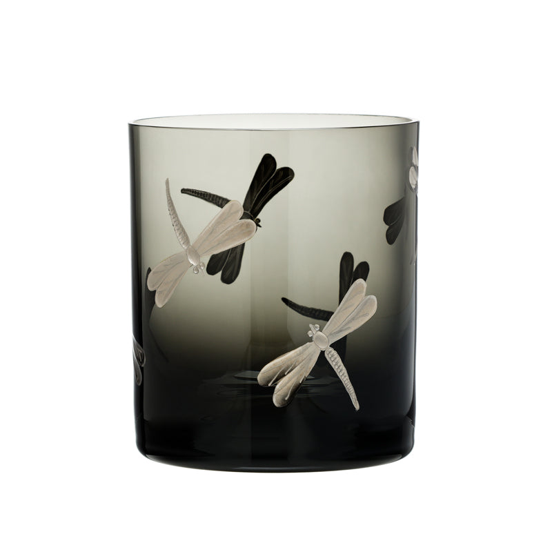 Fly Fusion Dragonfly