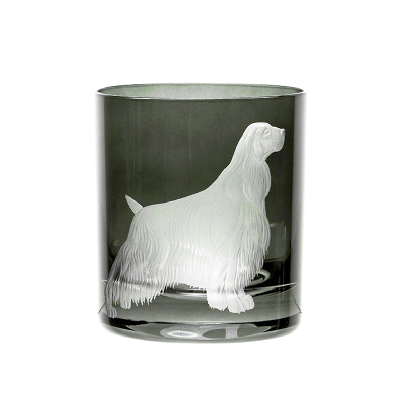 Best Of Breed Springer Spaniel