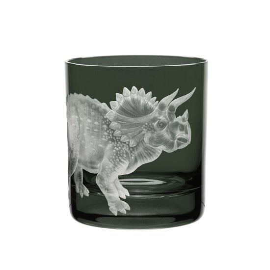 Dinosaur Collection 1 Triceratops