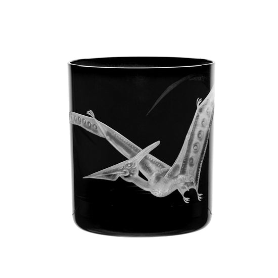 Dinosaur Collection 1 Pterodactyl