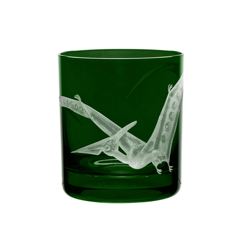 Dinosaur Collection 1 Pterodactyl