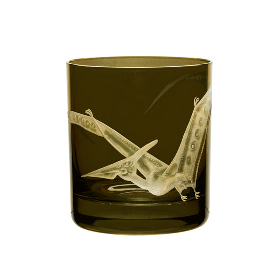 Dinosaur Collection 1 Pterodactyl