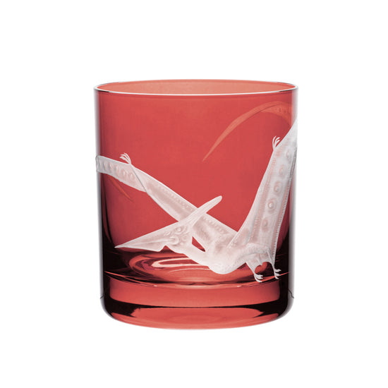 Dinosaur Collection 1 Pterodactyl