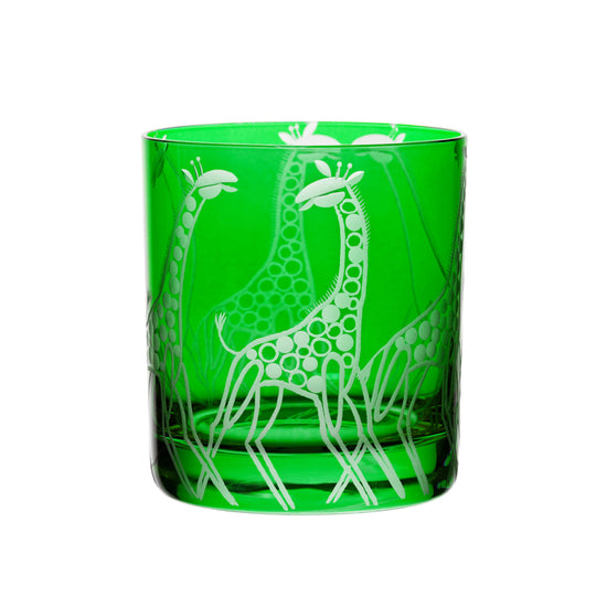 Safari Giraffes