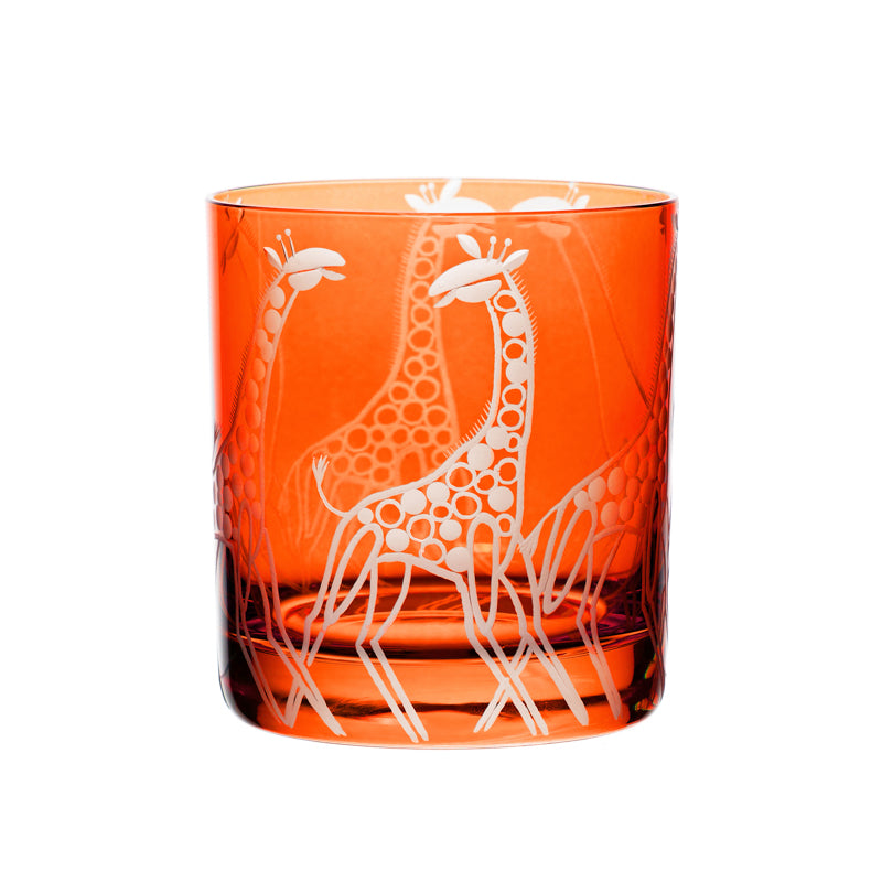 Safari Giraffes