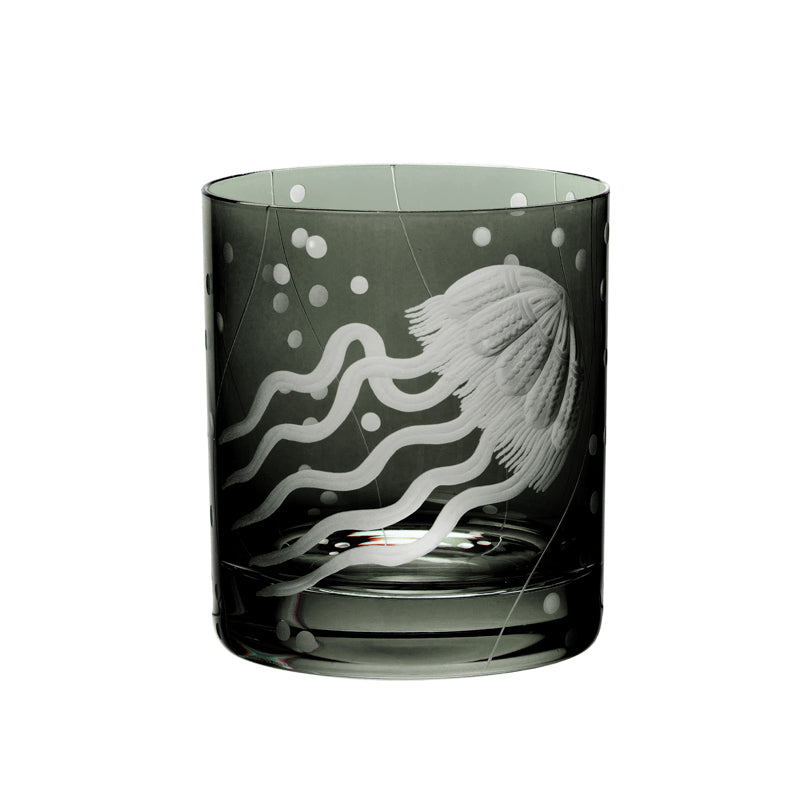 Sea Life Jellyfish