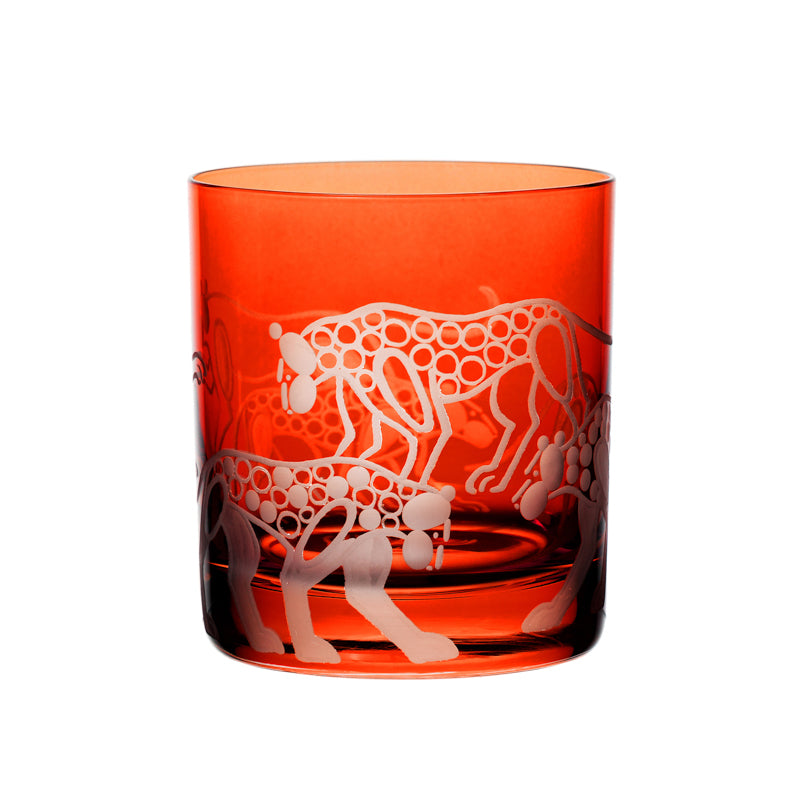 Safari Leopards