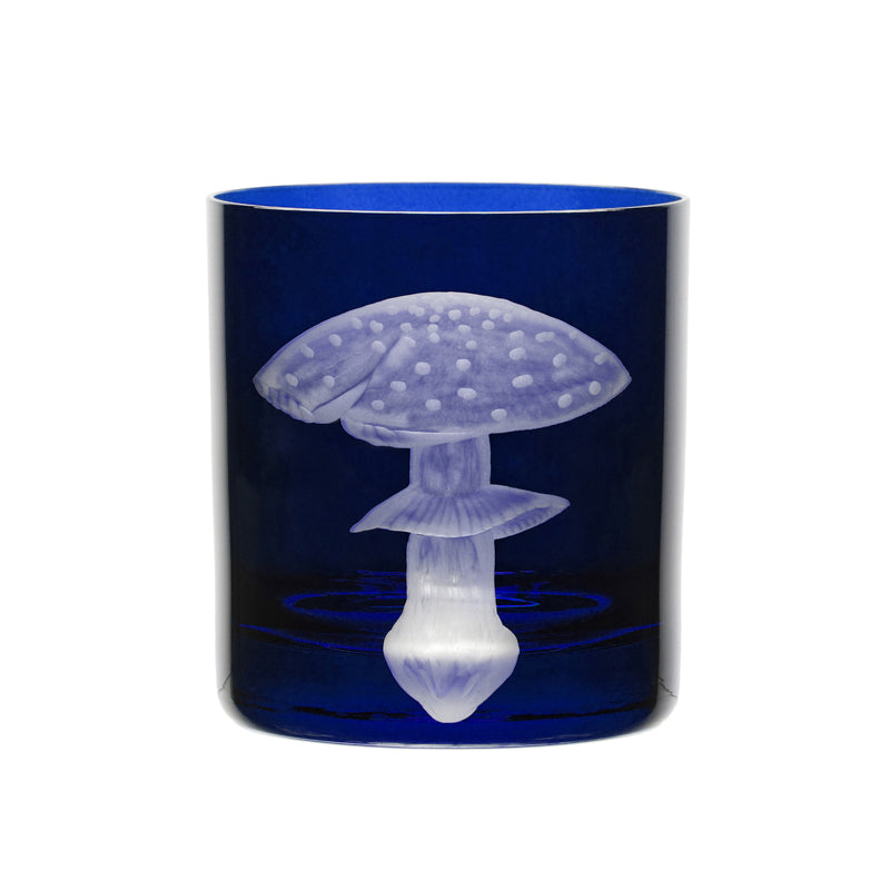 Mushrooms Fly Amanita