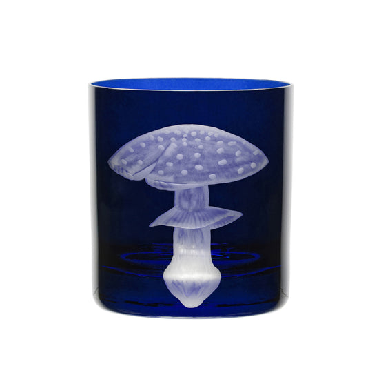 Mushrooms Fly Amanita