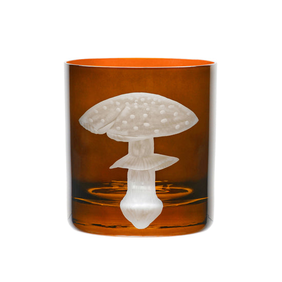 Mushrooms Fly Amanita