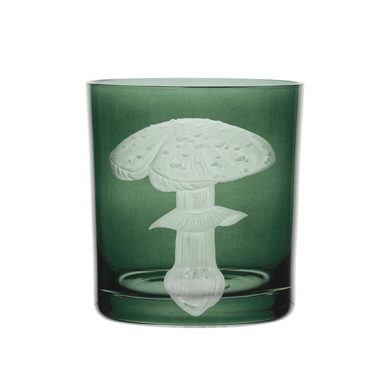 Mushrooms Fly Amanita