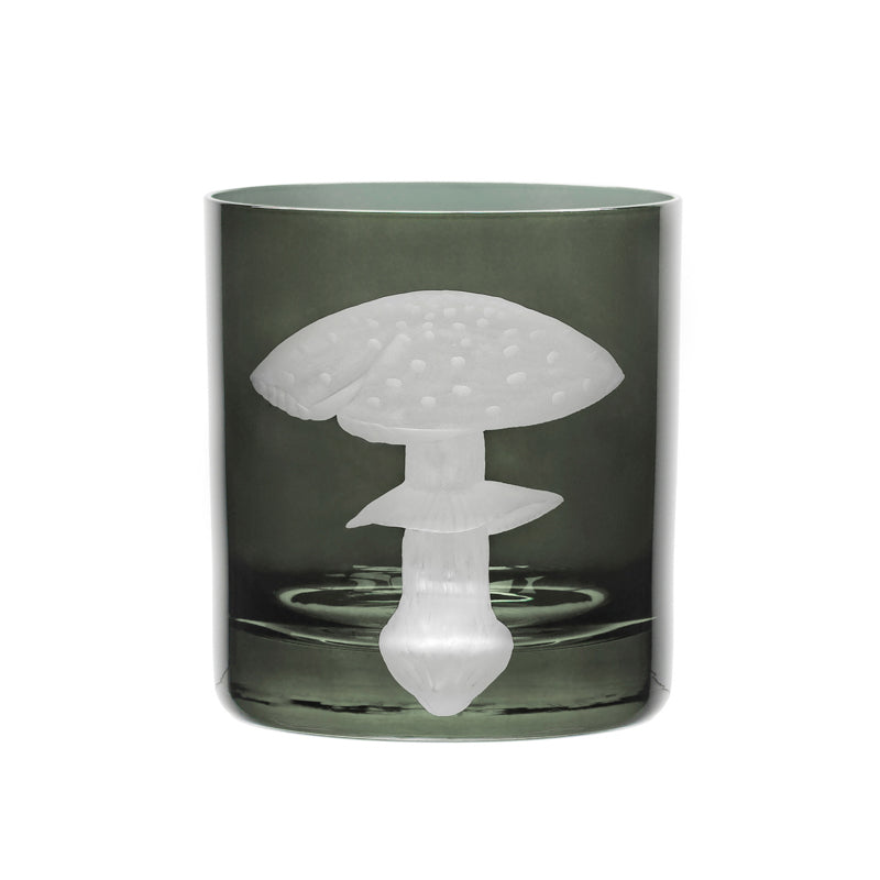 Mushrooms Fly Amanita