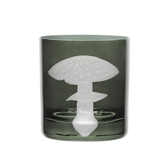 Mushrooms Fly Amanita